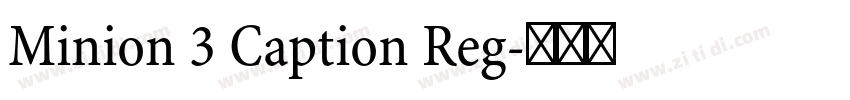Minion 3 Caption Reg字体转换 Minion 3 Caption Reg字体转换